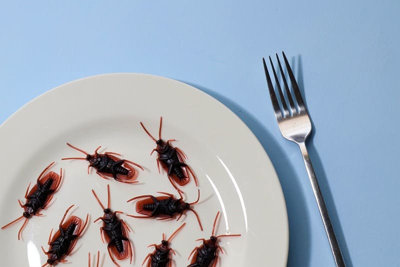 For years, the residents of Ballard Point Condominiums have shared a common struggle – the incessant presence of cockroaches. Whenever a resident complains about cockroaches in their unit, the management responds by sending exterminators to address the issue. While this may temporarily alleviate the problem in that unit, a baffling pattern emerges